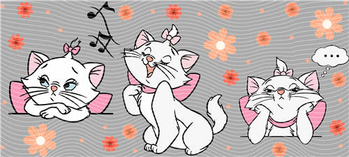 16oz Latest Bestseller-C 5564